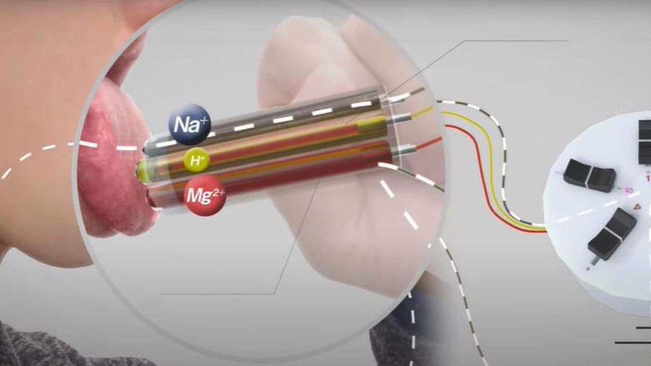 Taste Display atau Norimaki Synthesizer. YouTube/Ubergizmo