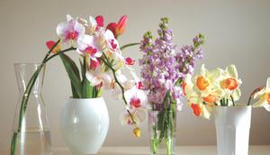 Ilustrasi Vas Bunga/https://unsplash.com/Yang Louie