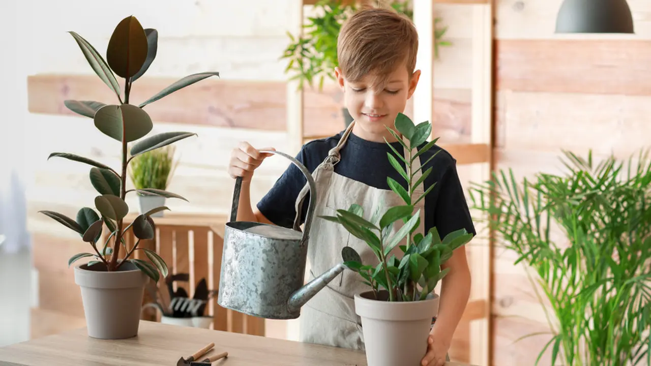 anak berkebun