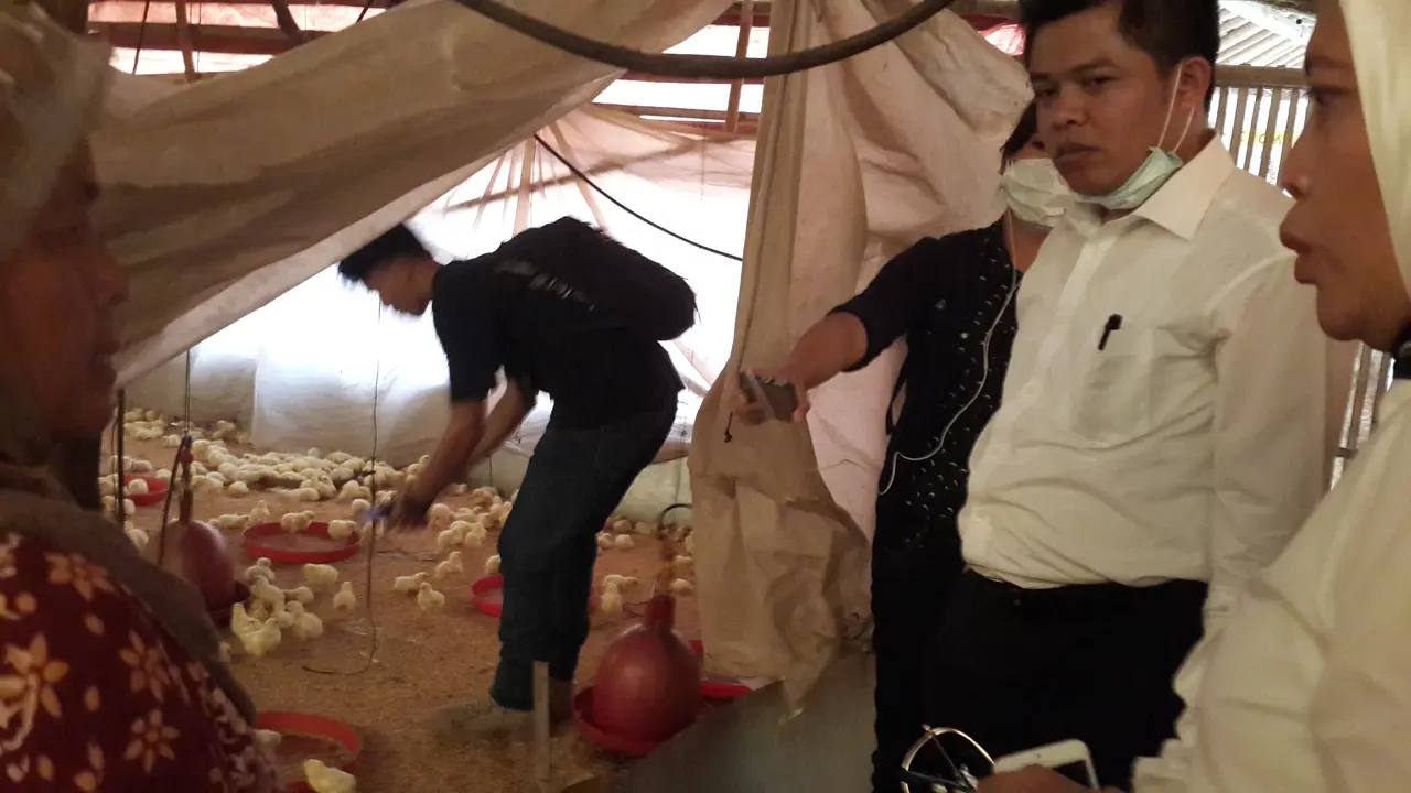 Sidak KPPU ke Peternakan Ayam Tangerang (Pebrianto Wicaksono Liputan6)