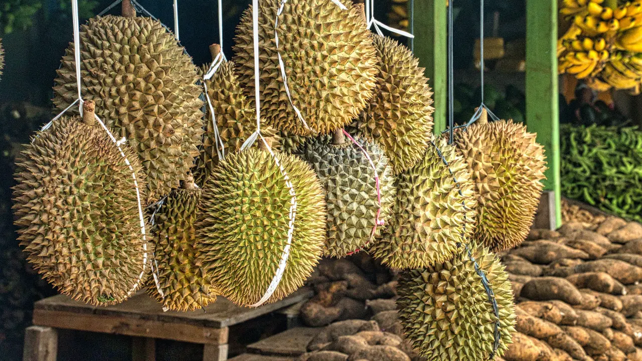 Buah durian