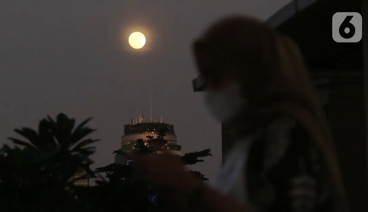 Pasalnya, fenomena Blue Moon akan berjarak 222.043 mil atau setara 357.344 Km dari Bumi, dan lebih dekat ketimbang fenomena Sturgeon Moon yang terjadi pada 1 Agustus 2023 lalu. (Liputan6.com/Angga Yuniar)
