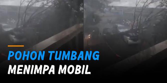 VIDEO: Pohon Tumbang Akibat Hujan Deras Menimpa Mobil