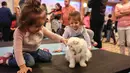 Seorang anak mengelus seekor selama kontes kecantikan kucing internasional ke-3 di Ankara, Turki, 14 Oktober 2018. Berbagai macam jenis kucing turut tampil beradu cantik dan dinilai para juri. (ADEM ALTAN/AFP)