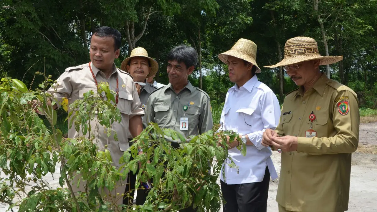 Taman Teknologi Pertanian Kalteng Curi Perhatian DPR