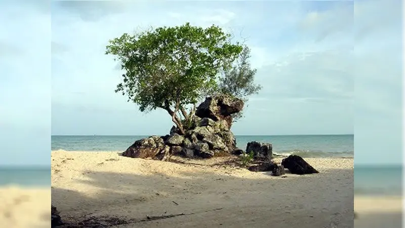 Tujuh Pohon Unik Ini Hanya Ada di Indonesia