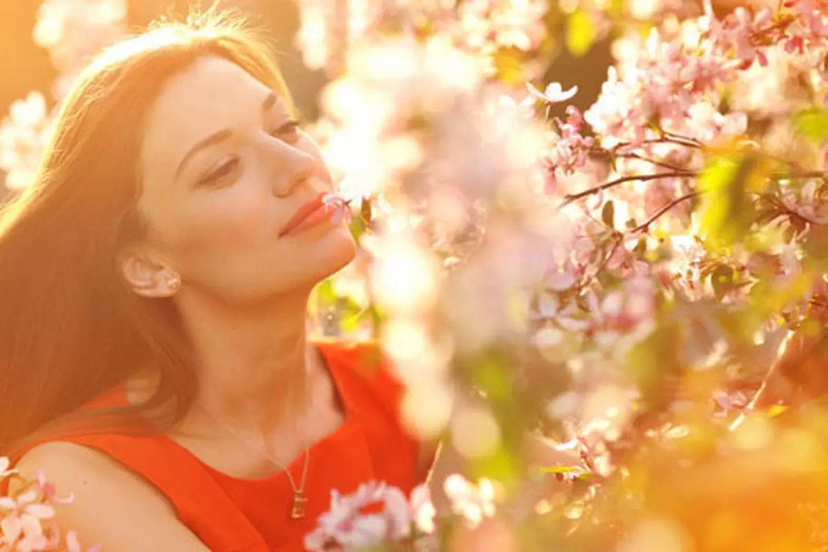 Foto: Shutterstock