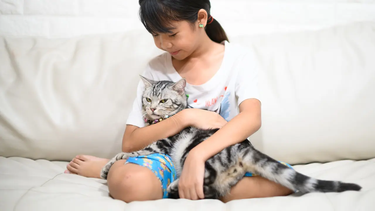 Anak dan Kucing