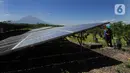 Pekerja menyiram tanaman dengan sumber energi dari solar cell di Pembangkit Listrik Tenga Surya (PLTS) 1 MWp, Bangli, Bali, Selasa (31/8/2021). PLTS 1 MWp ini dikelola secara mandiri oleh BUMD Perusahaan Daerah Bhukti Mukti Bhakti di bawah Pemkab Bangli. (merdeka.com/Arie Basuki)