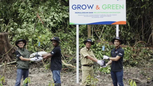 BRI Peduli Grow & Green Tanam 2.500 Bibit Pohon Durian di Berau