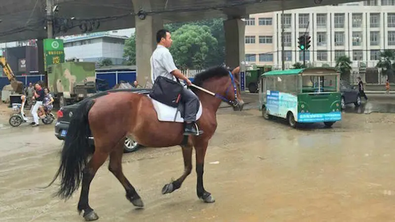 Macet Lalin Buat Pria Ini Jadikan Kuda Sebagai Kendaraan ke Kanto