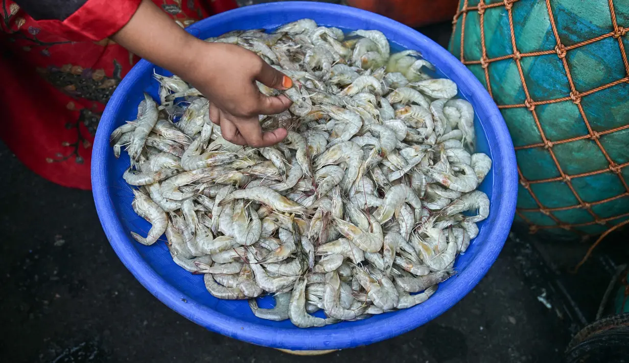 Diketahui, berdasar hasil riset Universitas Indonesia yang menunjukkan ikan dan udang memiliki kandungan gizi lebih baik daripada daging sapi, ayam atau telur. (Juni Kriswanto/AFP)