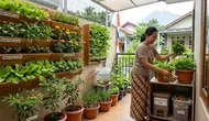 5 Tren Mini Food Garden 2026, Halaman Kecil Bisa Panen Sepanjang Tahun