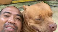 Pemilik akun Instagram christian_joshuapale selaku pendiri Animal Hope Shelter, dan Yayasan Sarana Metta Indonesia penampungan bagi hewan terlantar. (Instagram/Christian_joshuapale).