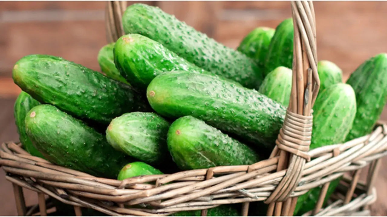 Courtesy ShutterStock.com