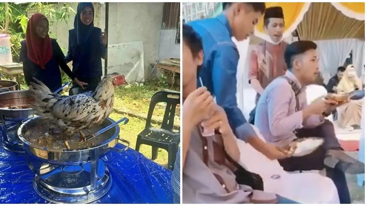 6 Momen Apes Makan di Acara Pernikahan Ini Bikin Tamu Undangan Elus Dada