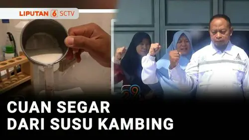VIDEO: Berani Berubah: PNS Isi Waktu Libur dengan Produksi Susu Kambing, Cuannya Jutaan