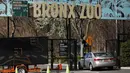 Sebuah mobil memasuki Kebun Binatang Bronx di New York City, Amerika Serikat, Senin (6/4/2020). Seekor harimau Malaya betina di Kebun Binatang Bronx diketahui terinfeksi COVID-19 setelah ditemukan gejala batuk kering pada beberapa kucing besar di kebun binatang itu. (Spencer Platt/Getty Images/AFP)