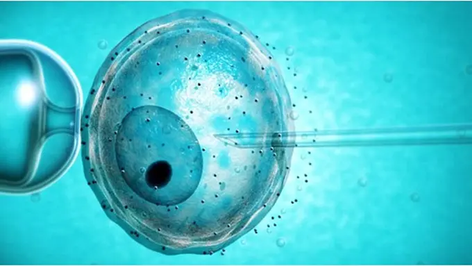 Courtesy Dailymail.com