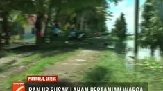 Banjir yang terjadi akibat luapan Sungai Ireng ini pun masih meredam permukiman warga dengan ketinggian satu hingga dua meter.