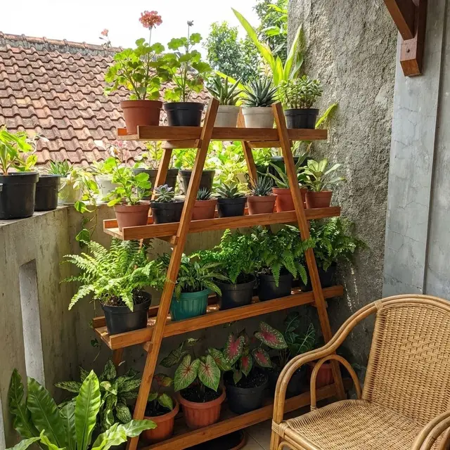 Teras Rumah Sempit Jadi Kebun Hijau