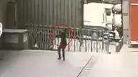 Berupaya Selamatkan Wanita Bunuh Diri, Petugas Malah Tewas
