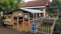 8 Model Kandang Ayam Serbaguna yang Cocok untuk Skala Kecil, Anti Bau dan Cepat Bertelur