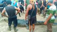 Buaya pemangsa manusia yang ditangkap warga di Sungai Lakar, Kecamatan Sungai Apit, Kabupaten Siak. (Liputan6.com/Istimewa/M Syukur)