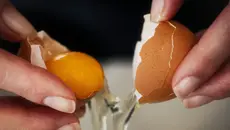 Bahaya Bayi Mengonsumsi Telur Mentah, Bisa Alami Salmonellosis