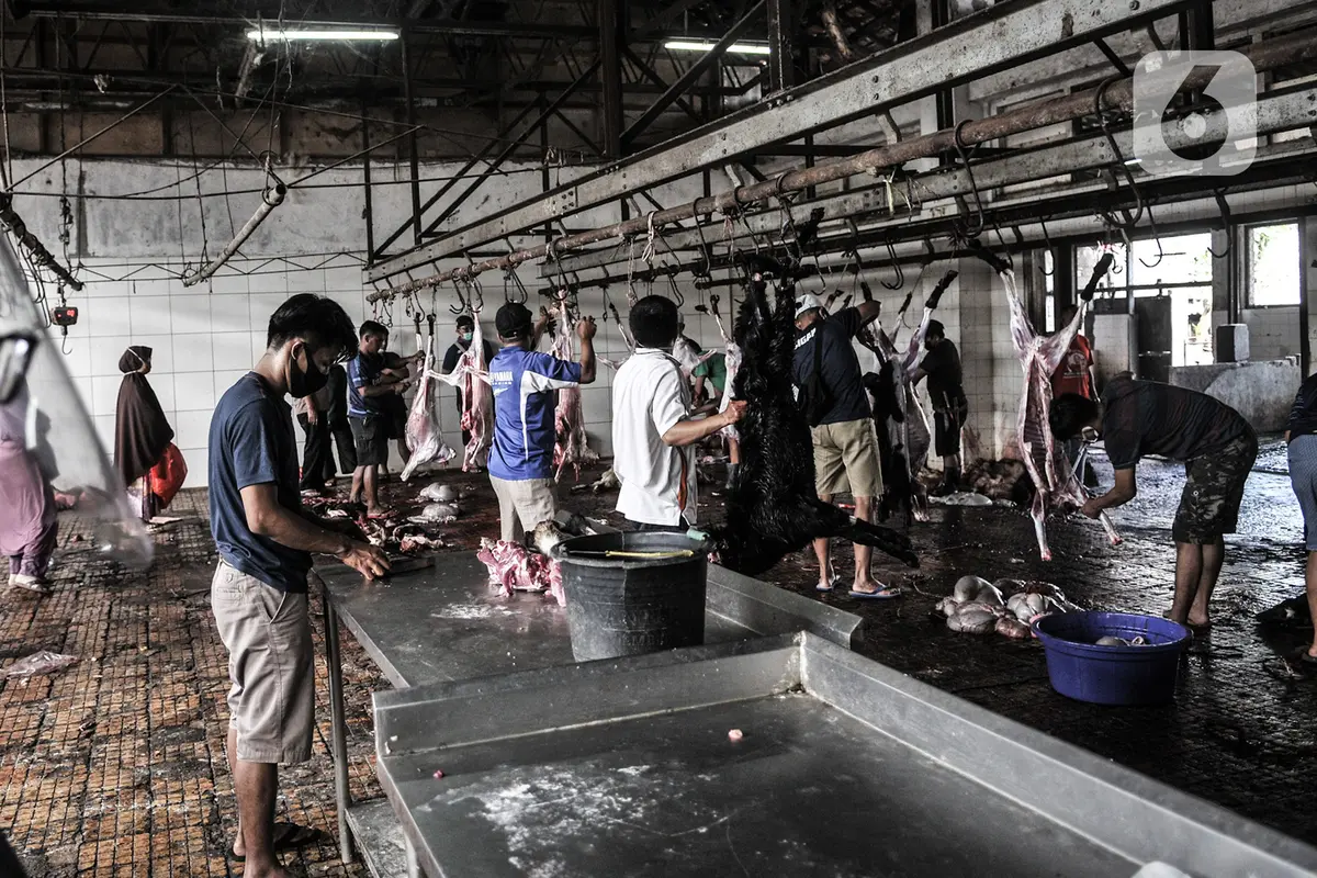 FOTO: Penyembelihan Hewan Kurban di Tengah Pandemi COVID-19