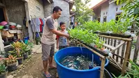 Cara Menanam Kangkung dengan Sistem Aquaponik Sederhana Bersama Ikan Lele di Rumah