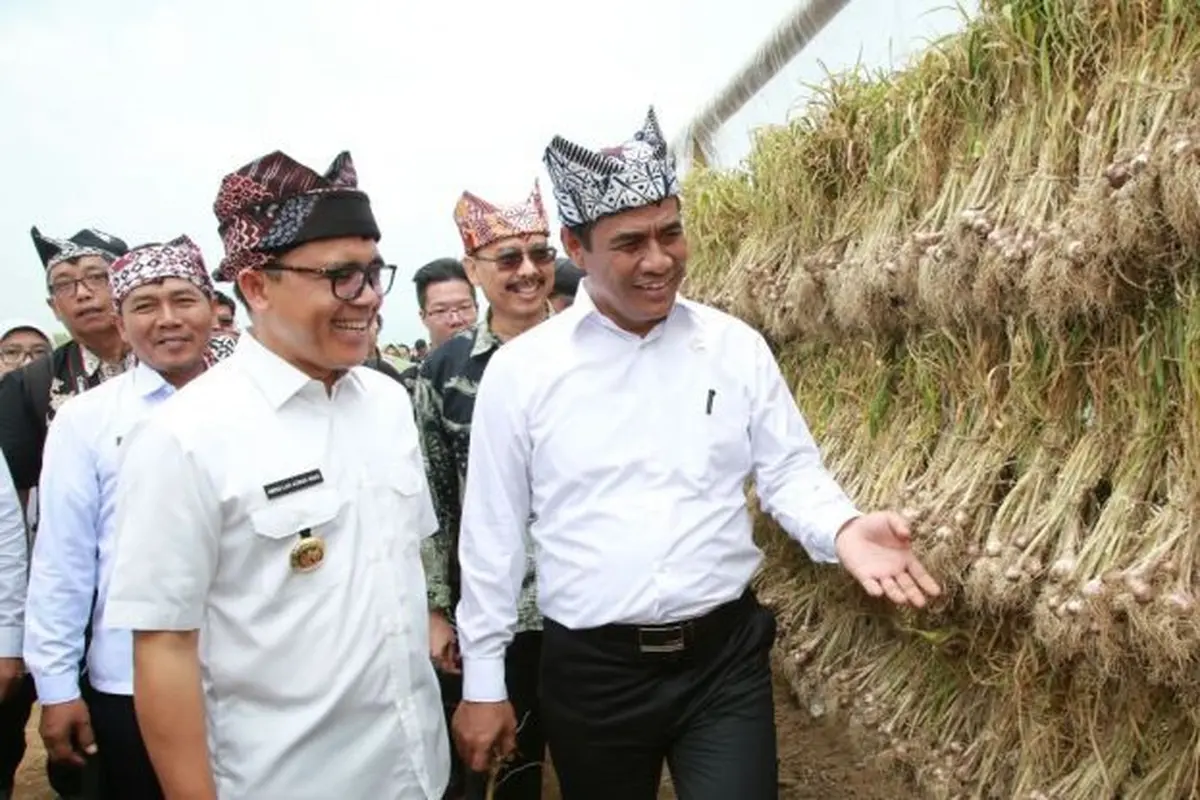Menteri Pertanian Andi Amran Sulaiman melakukan panen perdana bawang putih di Banyuwangi, Kamis (22/3/2018).