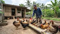 10 Tips Ayam Kampung Cepat Bertelur dan Sehat, dari Pakan hingga Kandang