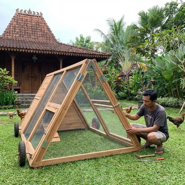Model Kandang Ayam 'Knock Down', Bisa Bongkar Pasang