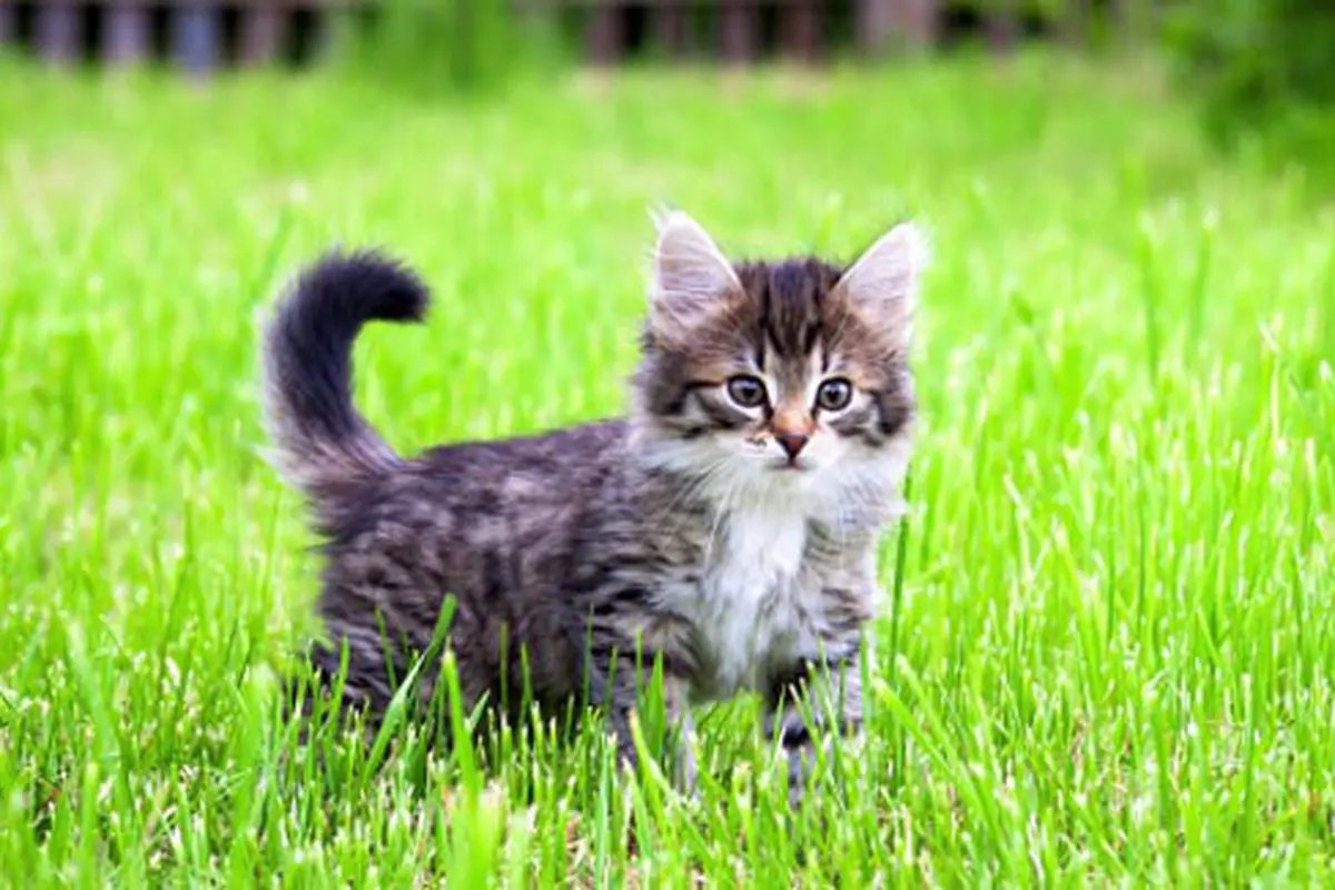 Foto: copyright thinkstockphotos.com