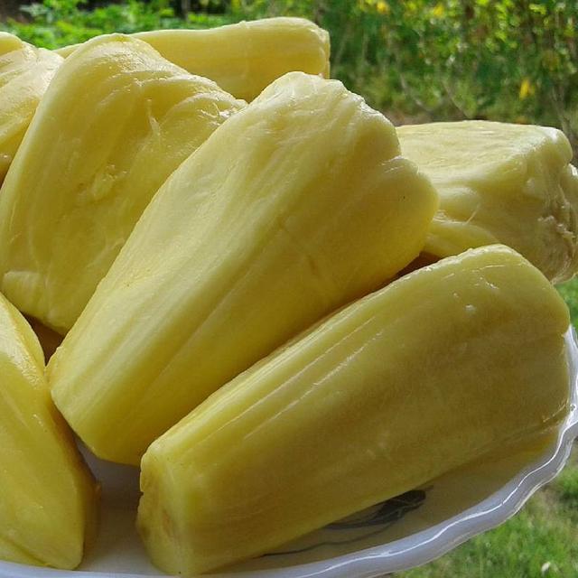 Buah Nangka Tak Baik Untuk Penderita Maag Kenapa Lifestyle Fimela Com