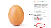 (world_record_egg/instagram.com)