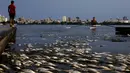 Ribuan ikan mati di arena latihan atlet dayung Laguna Rodrigo de Freitas, Rio de Janeiro, Brasil, Senin (13/4/2015). Ikan-ikan ini  mati akibat air laut dingin yang masuk ke Laguna. (REUTERS/Ricardo Moraes)