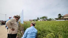 Petani Papua Terbang ke Gorontalo Demi Bertemu Prabowo dan Belajar Teknologi Pertanian