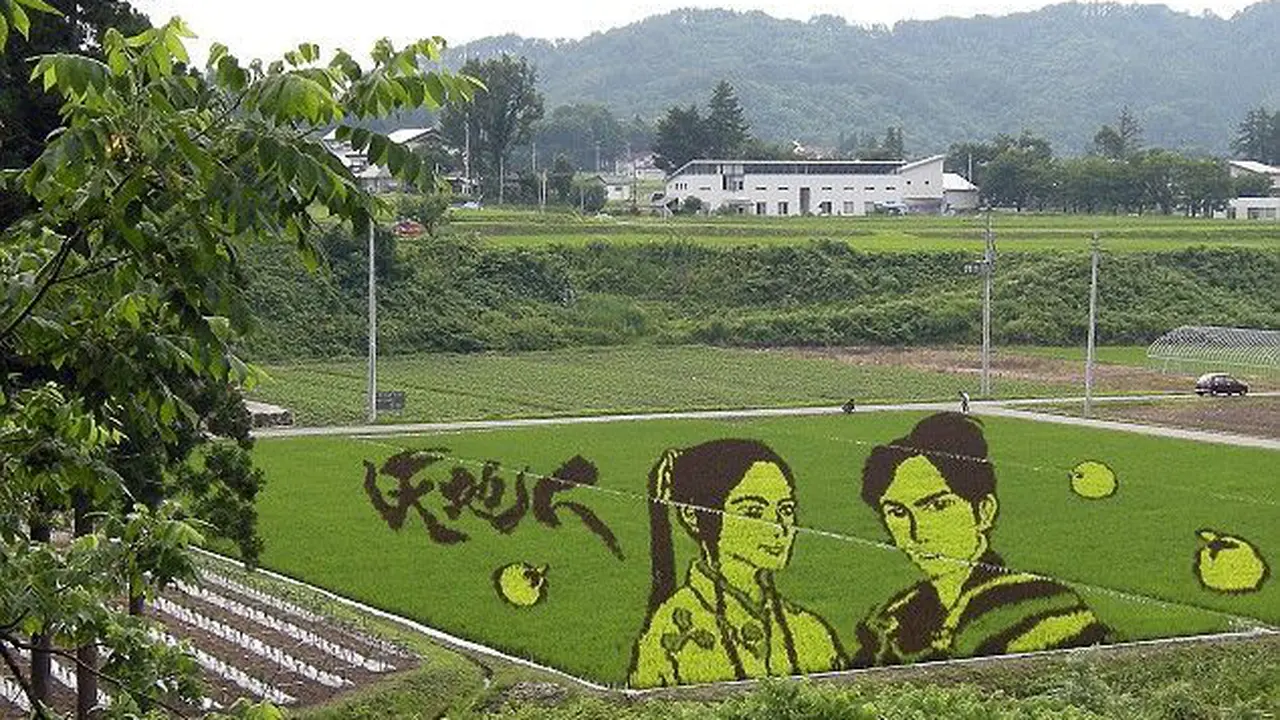 Lukisan Indah yang Datang dari Hamparan Sawah di Jepang