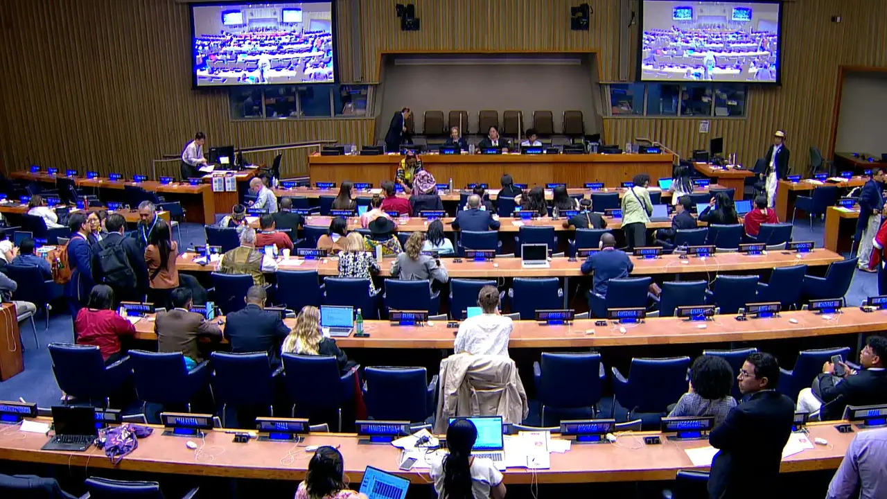 Sidang ke-24 United Nations Permanent Forum on Indigenous Issues (UNPFII). (Dok. UN TV)