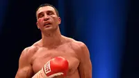 Ekspresi Wladimir Klitschko saat bertanding melawan Tyson Fury dalam perebutan gelar juara dunia tinju kelas berat WBA, IBF, WBO dan IBO di Duesseldorf, Jerman, (28/11/2015). (AFP/Patrik Stollarz)