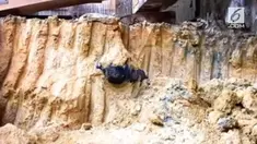 Bom pasif seberat 500 kg peninggalan Perang Dunia II gemparkan warga Hong Kong.