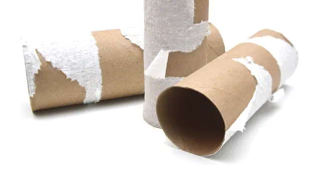 Kertas karton bekas tisu gulung