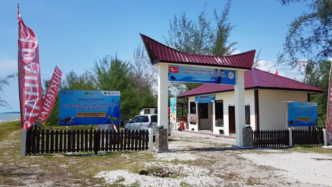 Konservasi Penyu Daihatsu (PT ADM)