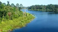 Indonesia, Penopang `Paru-paru` Dunia