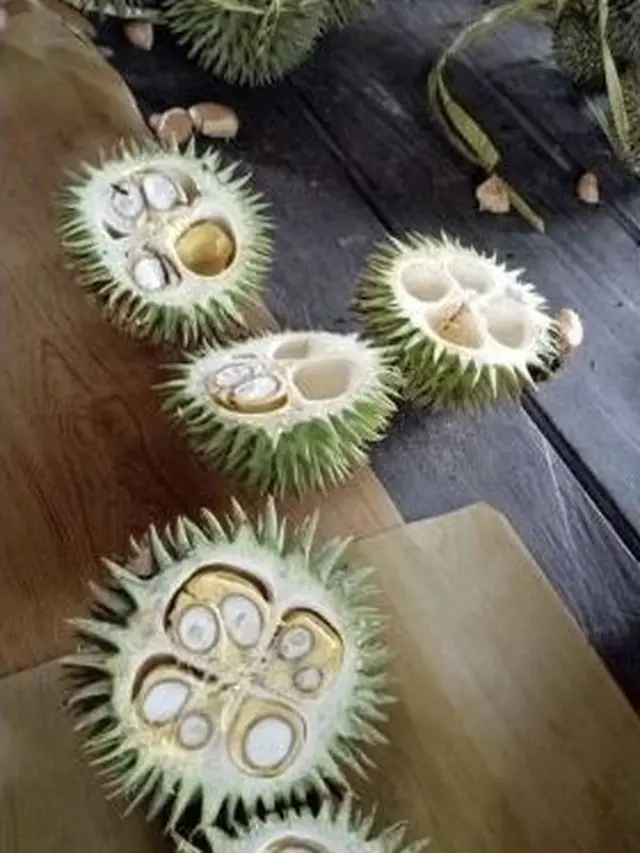 6 Potret Isi Durian Ini Nyeleneh Banget, Bikin Terheran-Heran