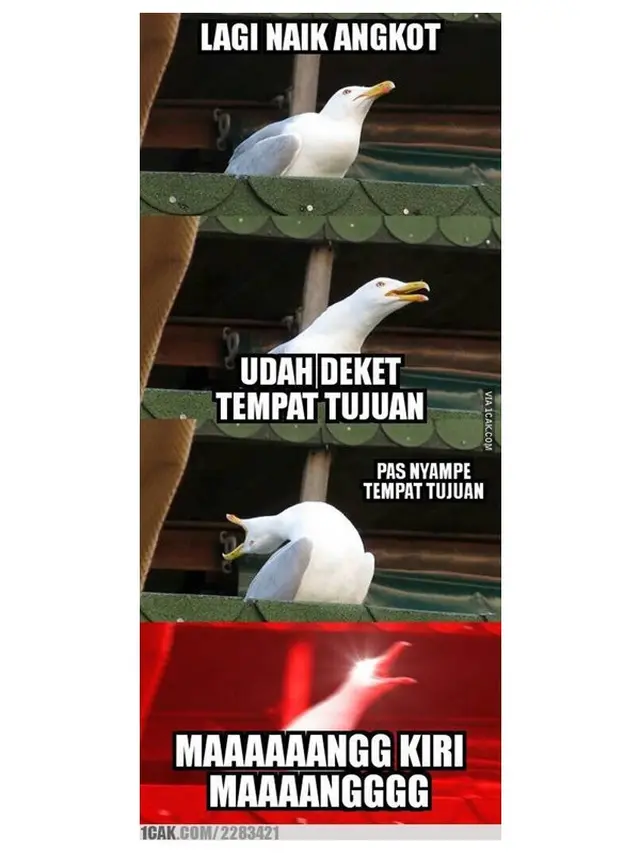 7 Meme Kocak Orang Naik Angkot Ini Bikin Geleng Kepala