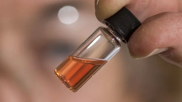 Pigmen warna tertua di dunia ditemukan dari fosil hewan laut berusia ratusan juta tahun (Australian National University)