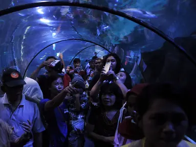 Pengunjung melihat ikan dalam air di Sea World, Ancol, Jakarta, Kamis (7/7). Wahana Sea World masih menjadi tempat favorit warga untuk mengisi waktu berlibur hari ke-2 Lebaran. (Liputan6.com/Johan Tallo)